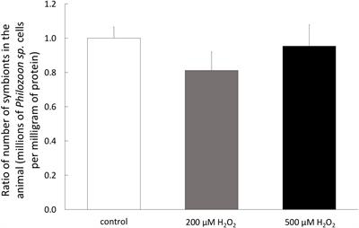 Intrinsically High Capacity of Animal Cells From a Symbiotic Cnidarian to Deal With Pro-Oxidative Conditions